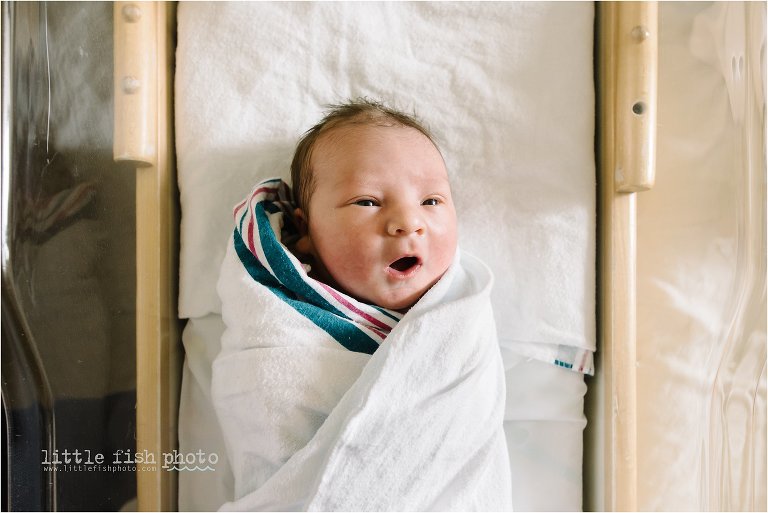 newborn portrait 