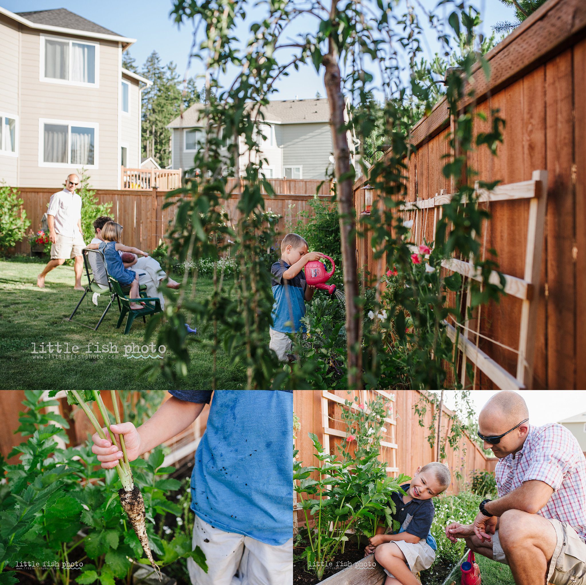 boy works with father in garden - Kitsap Lifestyle Newborn Photographer