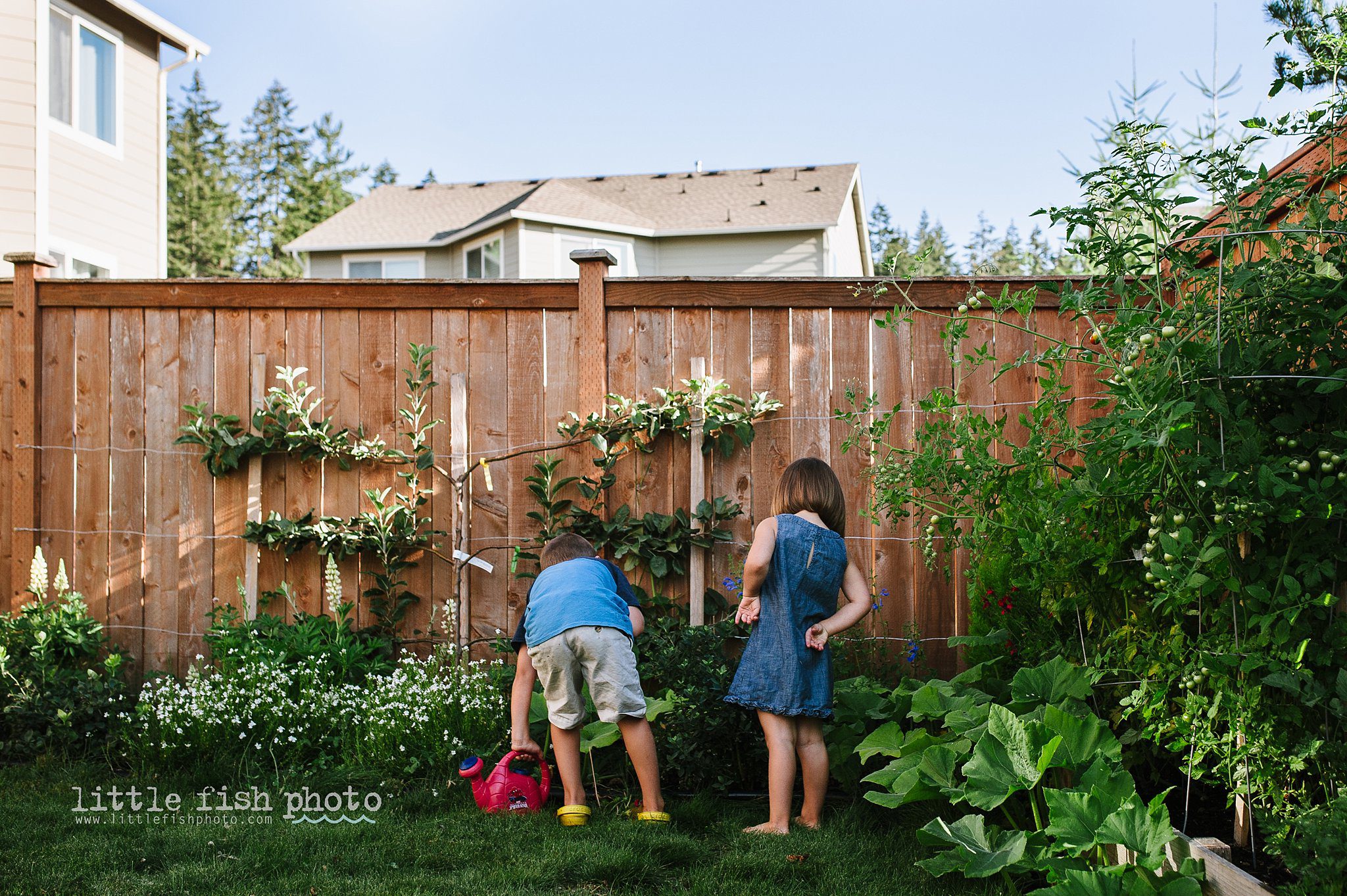 kids in garden - Kitsap Lifestyle Newborn Photographer