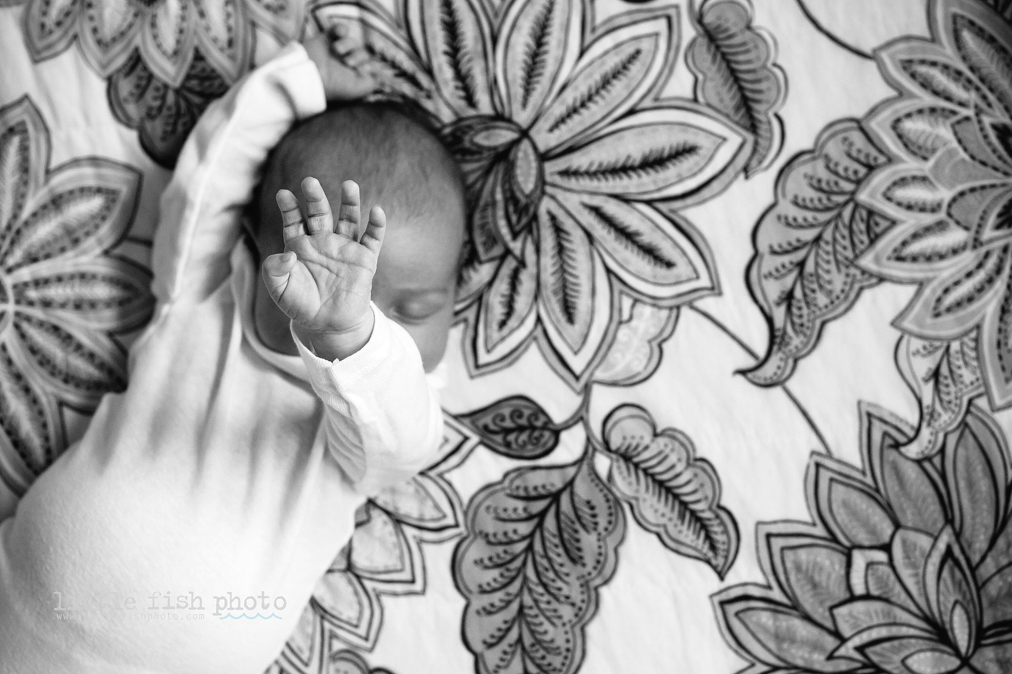 baby with hand in air - Kitsap Lifestyle Newborn Photographer