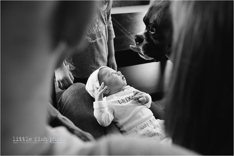 baby examines dog