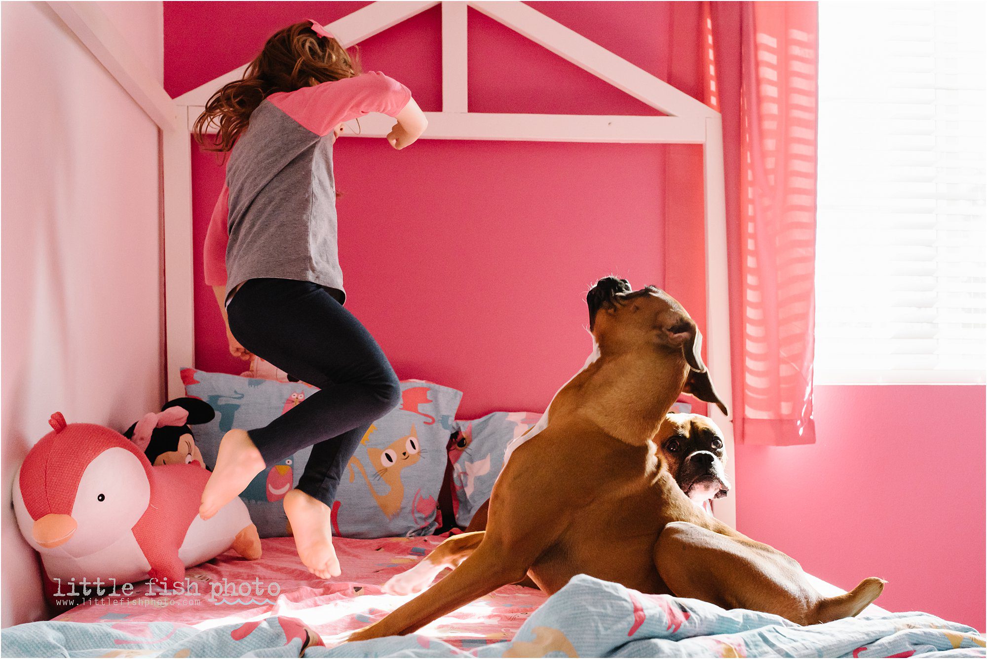 girl jumping on bed with dogs