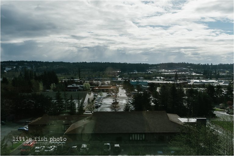 city view from above - Documentary Family Photography