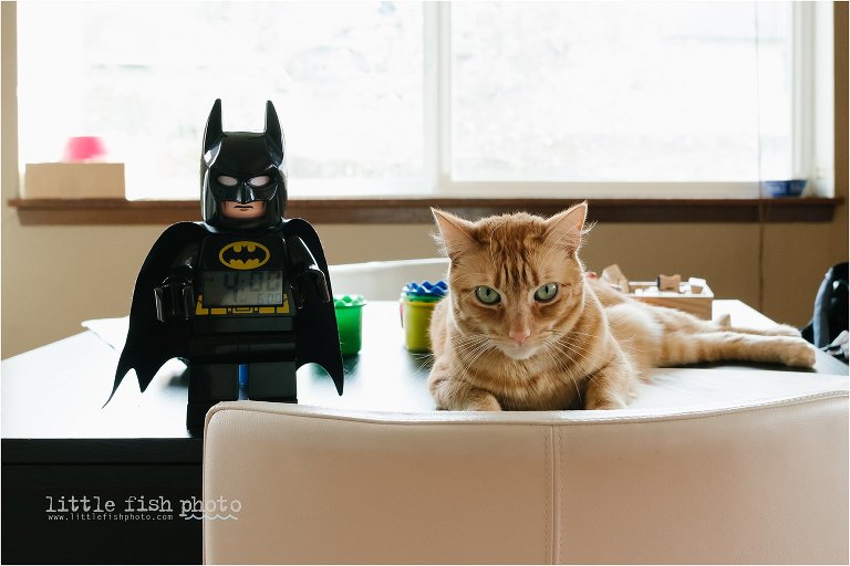 cat and batman -Documentary Family Photography