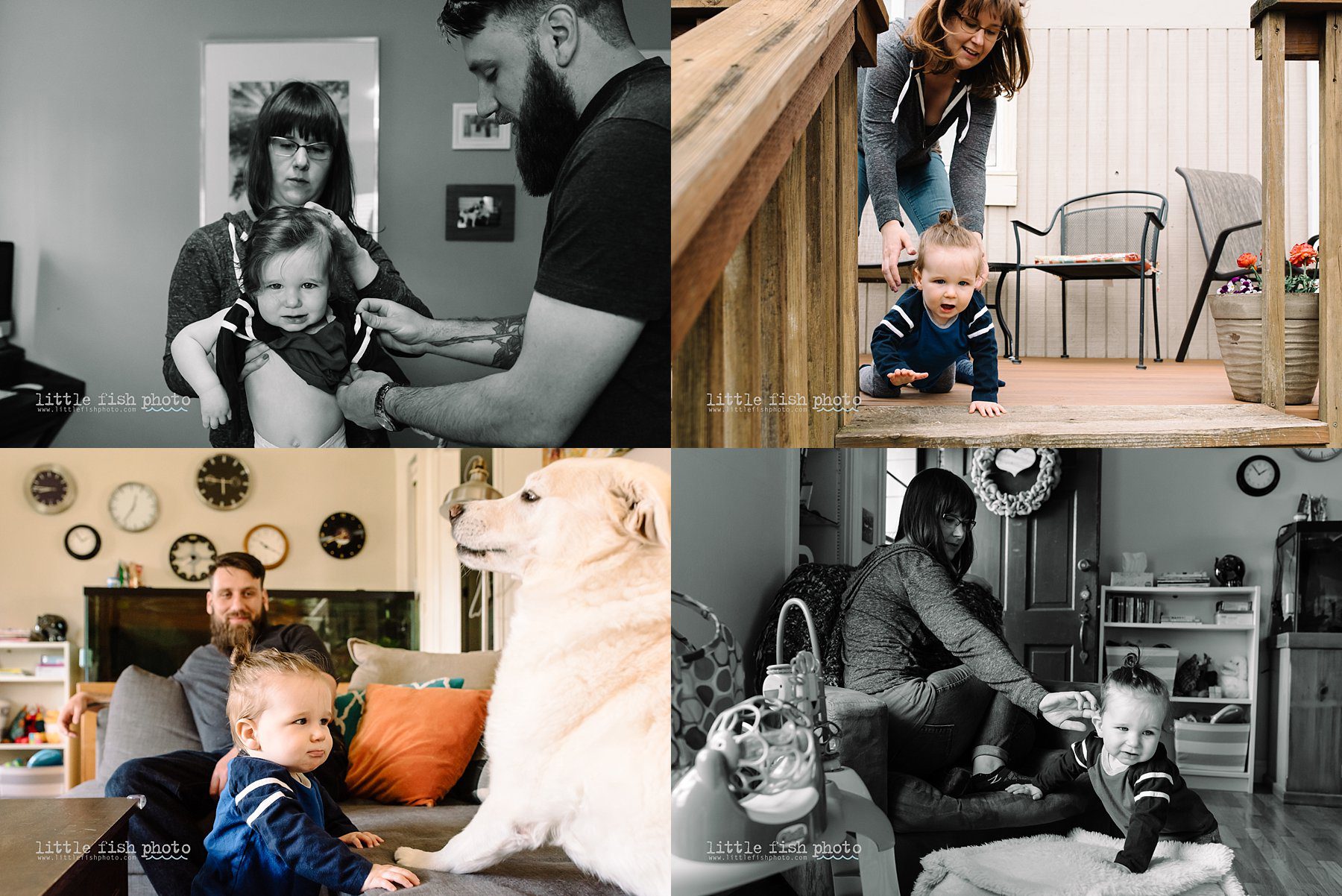 toddler boy plays with parents - kitsap documentary family photographer