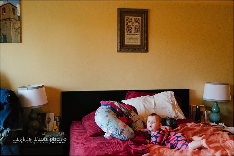 Baby on bed with cat