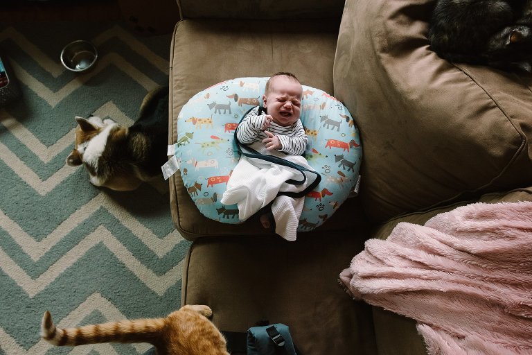 Angry baby surrounded by pets - documentary photography mentoring
