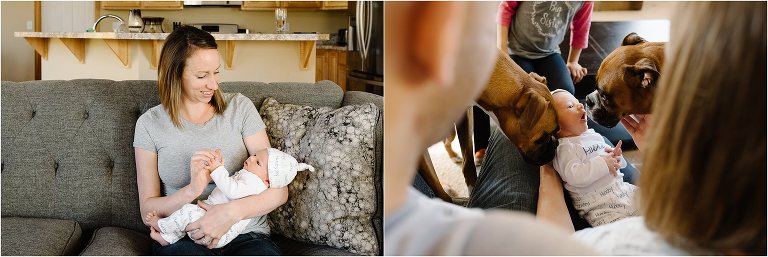 baby with dogs - Kitsap Newborn Photography