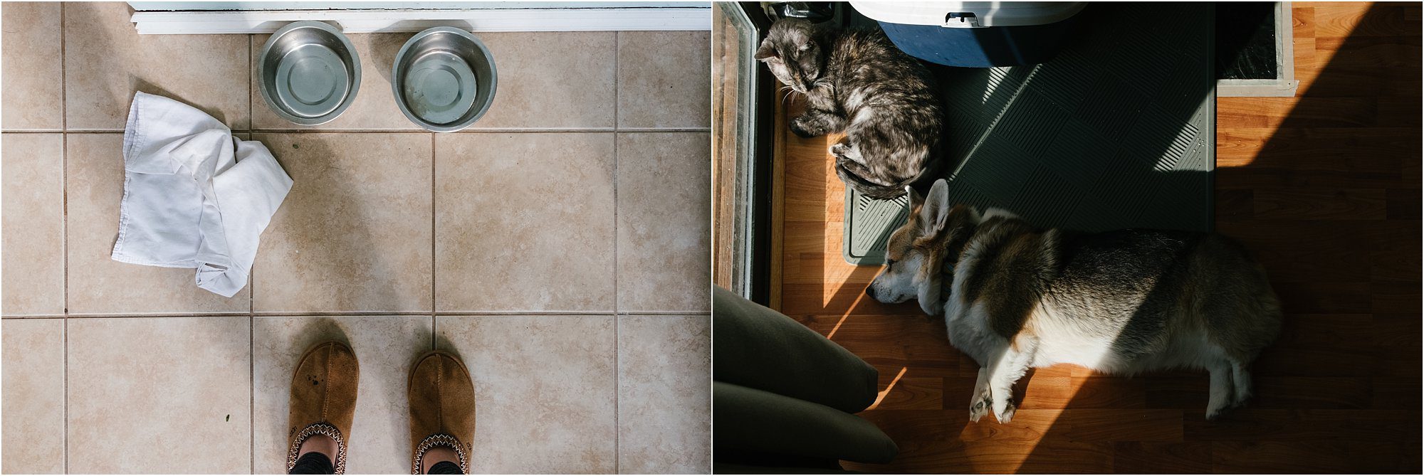 empty pet bowls