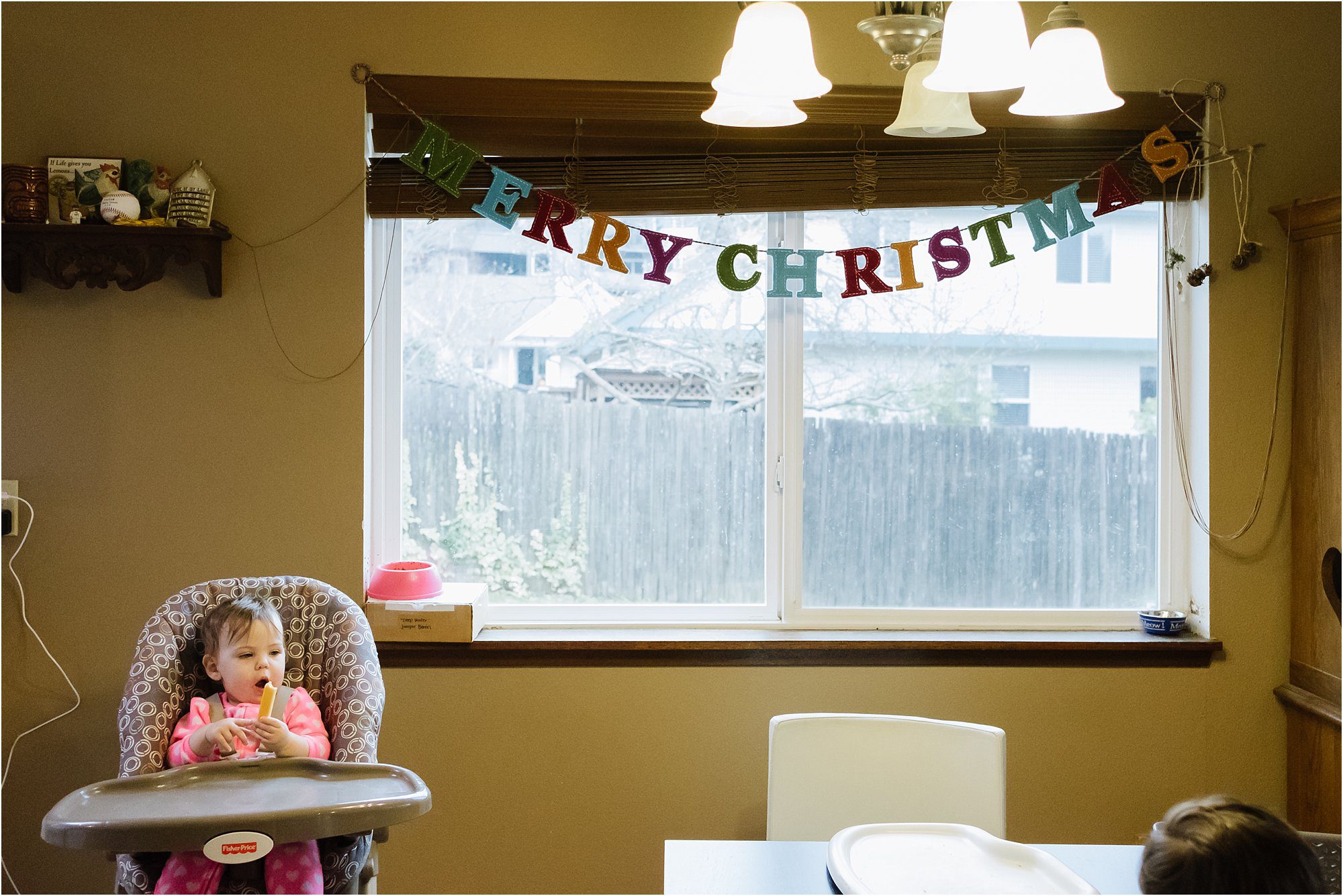 merry christmas banner