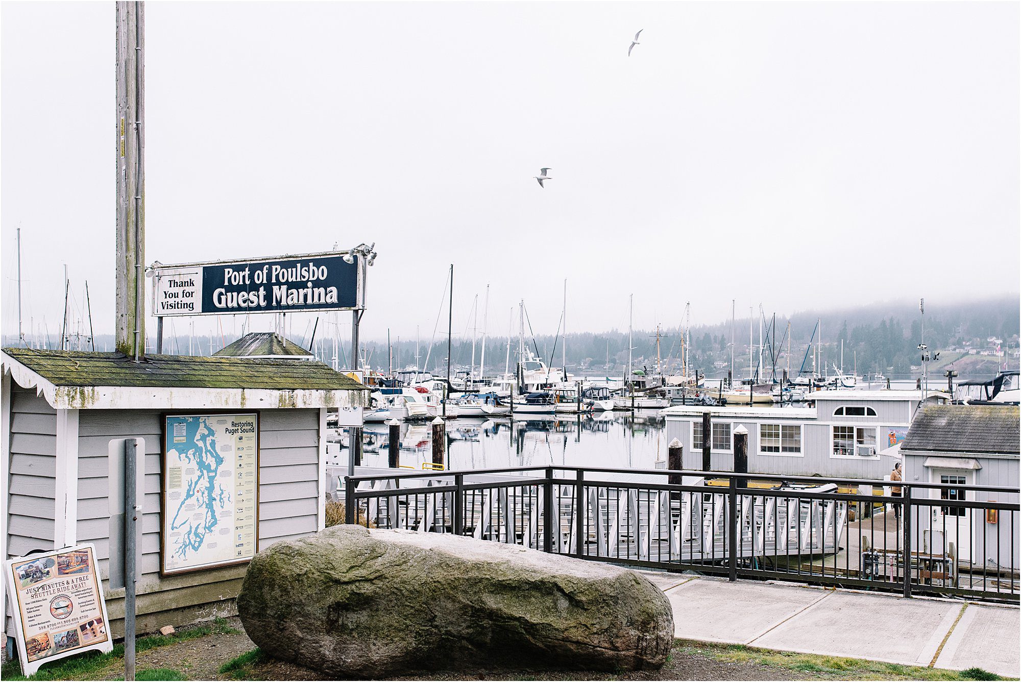 waterfront landscape - Kitsap Lifestyle Family Photographer